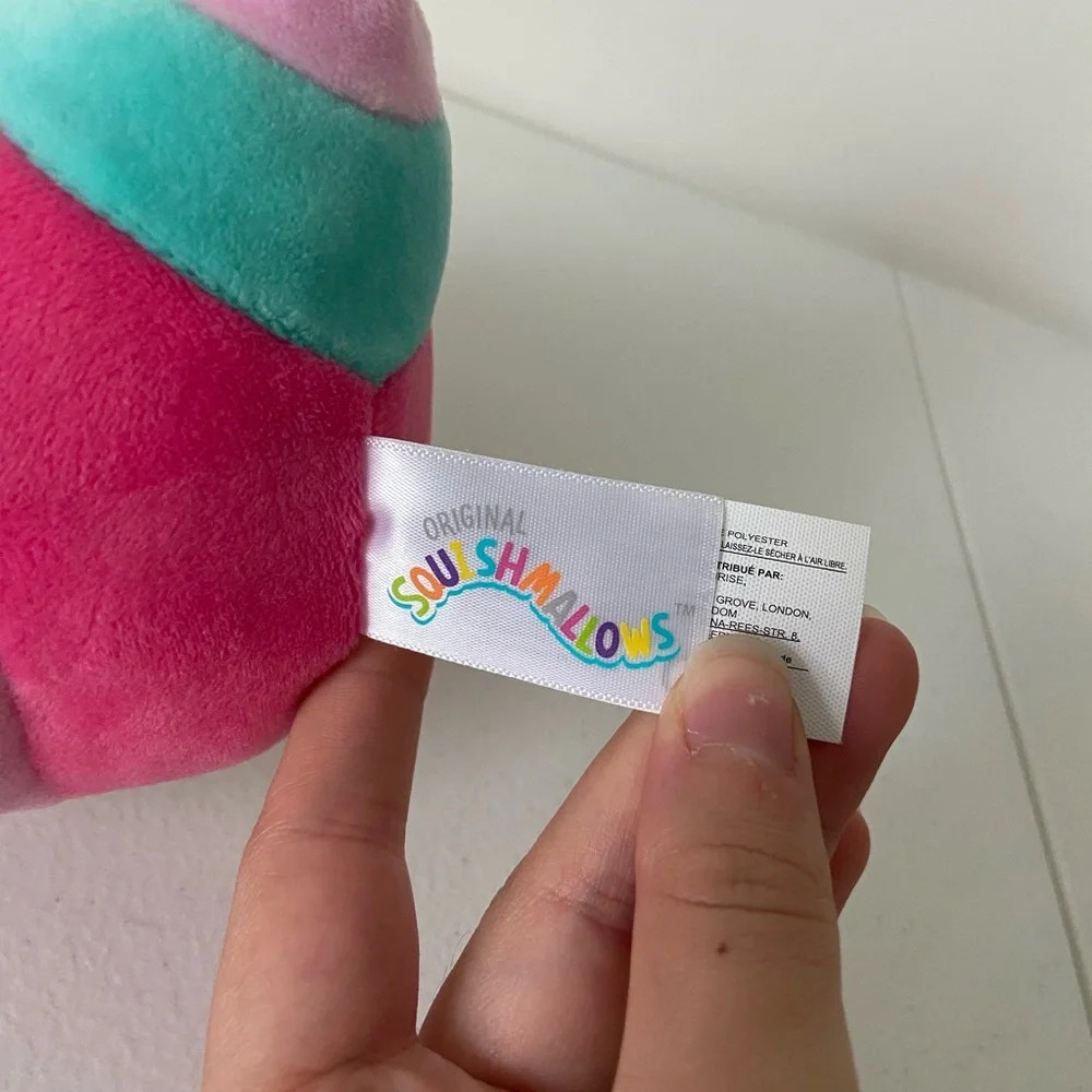NWOT | Fluxie the‎ Valentine’s Day Caterpillar 5 inch squishmallow plush - Picture 5 of 5